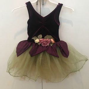 Toddler Princess Ballet Tutu